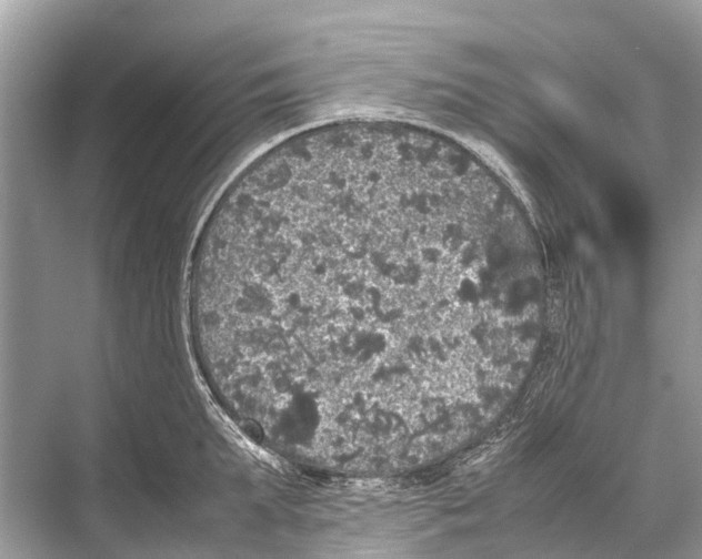 X0000067850903200605041712