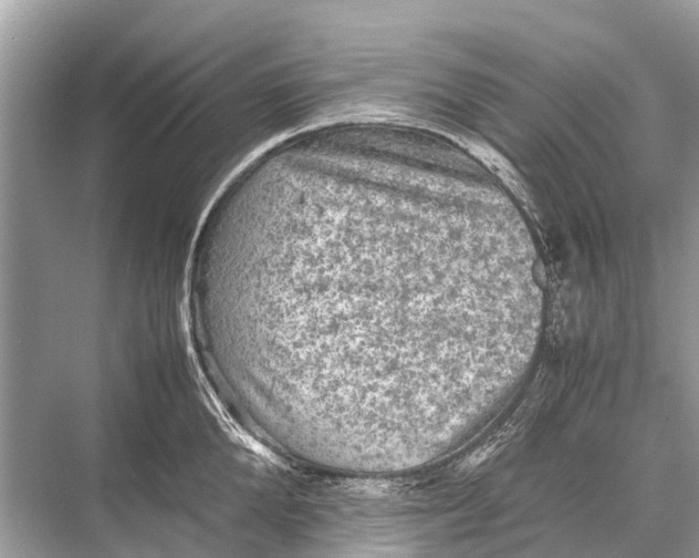 X0000067850904200605041712