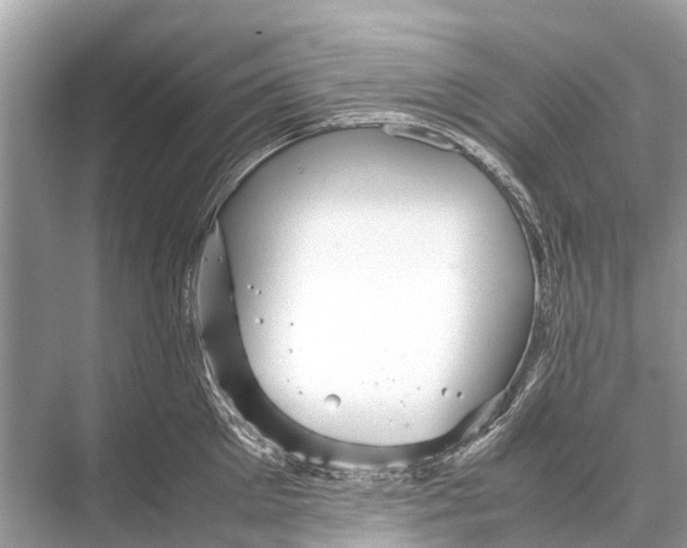 X0000067850905200605041712