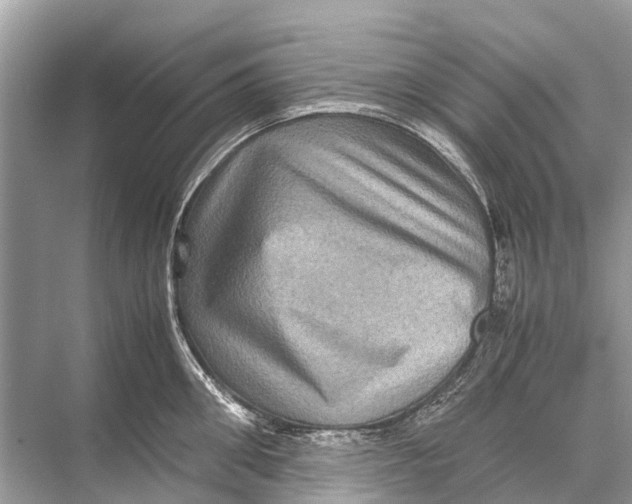 X0000067850906200605041712