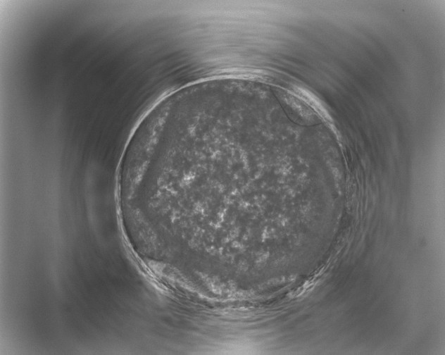 X0000067850907200605041712