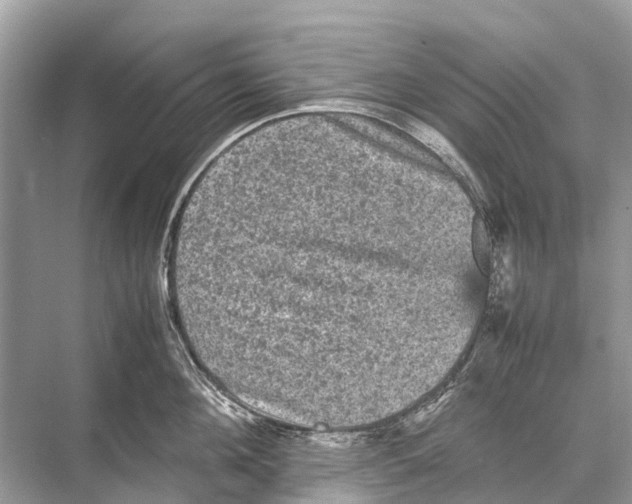 X0000067850908200605041712