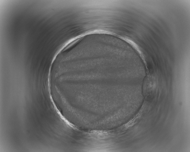 X0000067850910200605041712