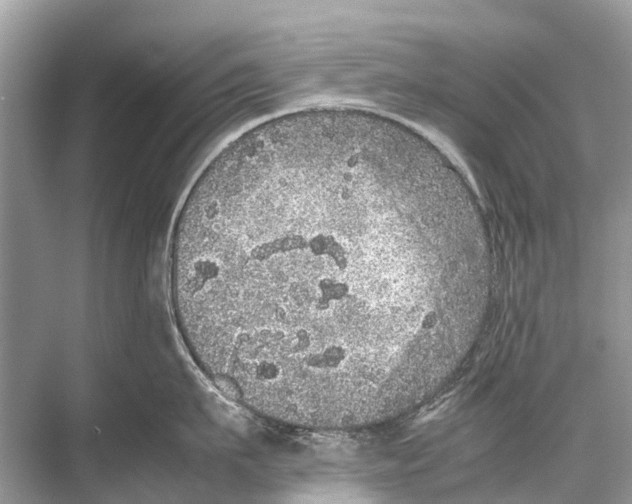 X0000067850911200605041712