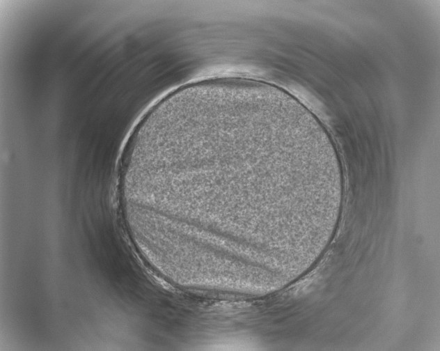 X0000067850912200605041712