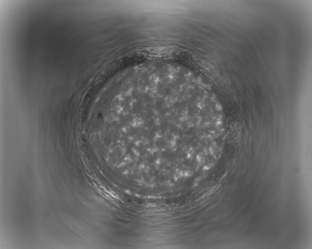 X0000067850913200605041711