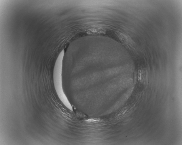 X0000067850915200605041711