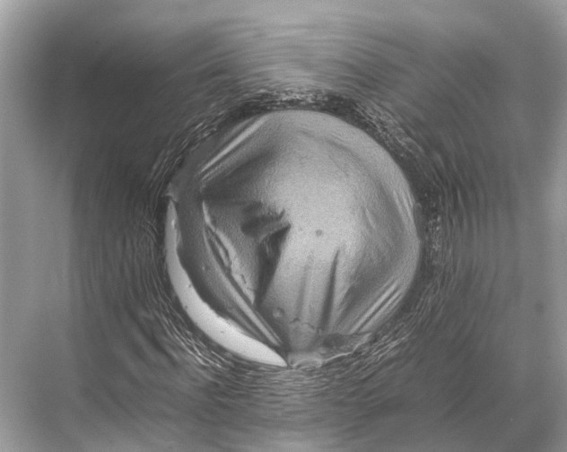 X0000067850916200605041711