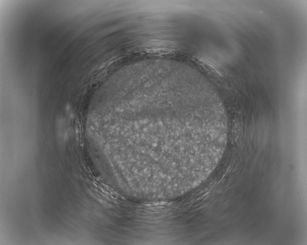 X0000067850917200605041711