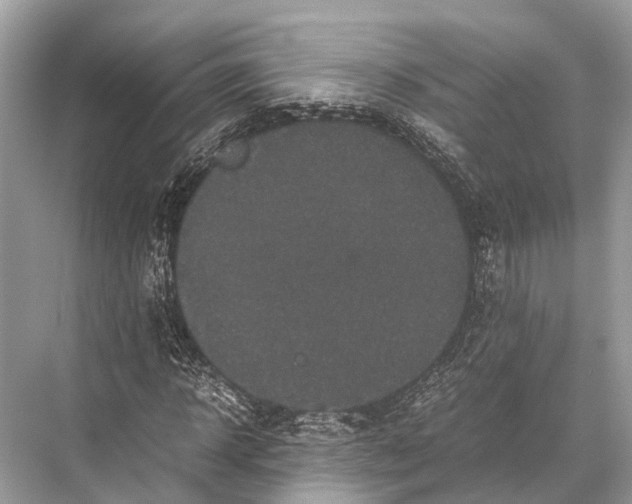 X0000067850918200605041711