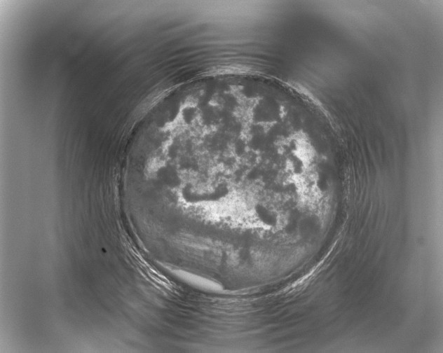 X0000067850921200605041711