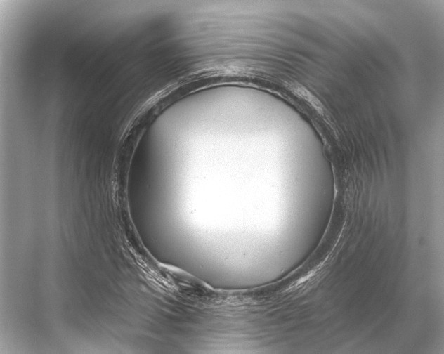 X0000067850922200605041711