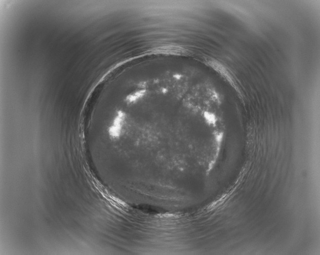 X0000067850923200605041711