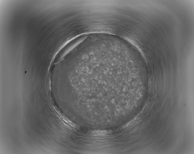 X0000067850925200605041711