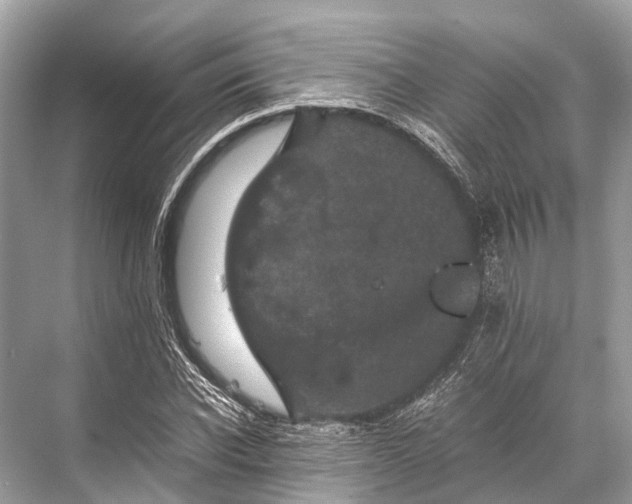 X0000067850926200605041711