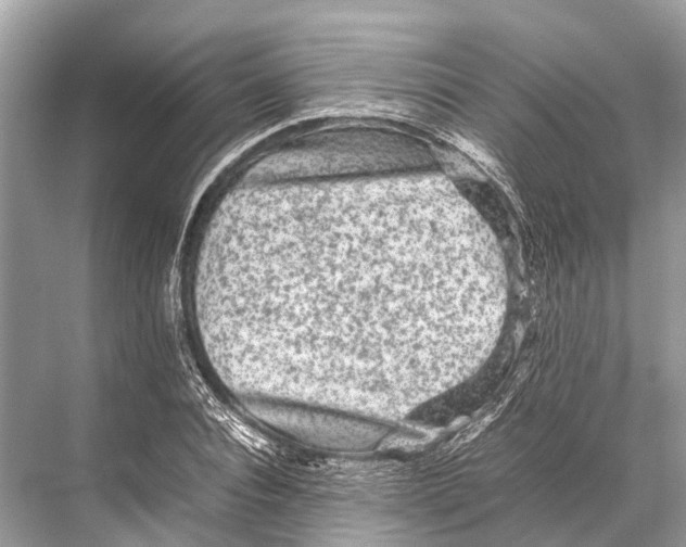 X0000067850928200605041711