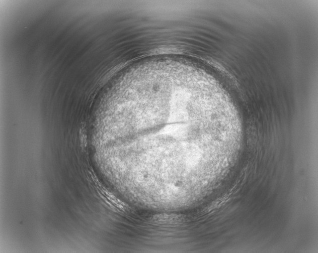 X0000067850929200605041711