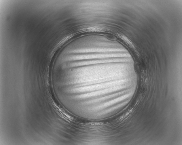 X0000067850930200605041711