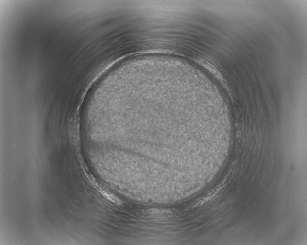 X0000067850933200605041711