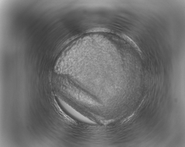 X0000067850937200605041711