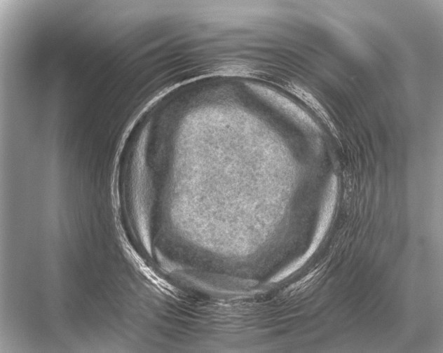 X0000067850939200605041711