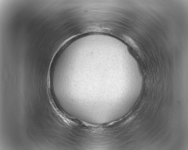 X0000067850940200605041712