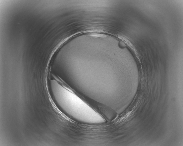 X0000067850941200605041712