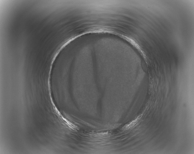 X0000067850943200605041712