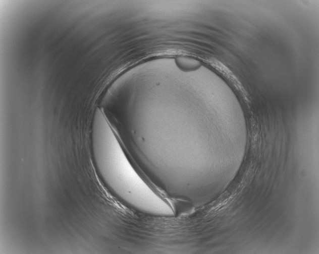 X0000067850945200605041712