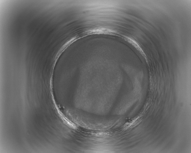 X0000067850946200605041712