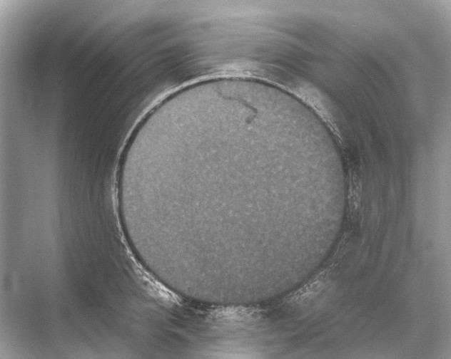 X0000067850950200605041712