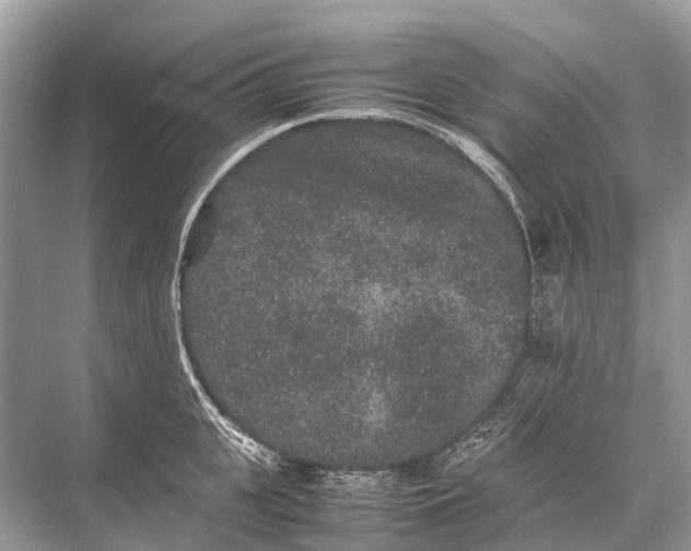 X0000067850951200605041712