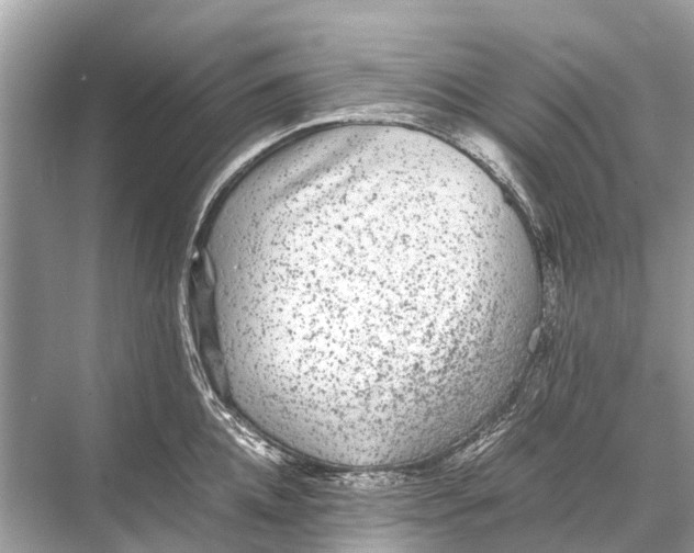 X0000067850952200605041712