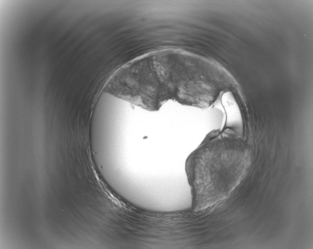 X0000067850953200605041712