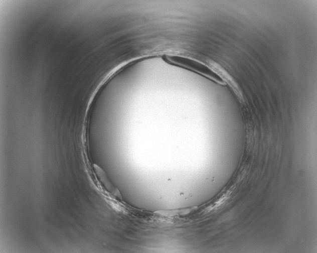 X0000067850956200605041712