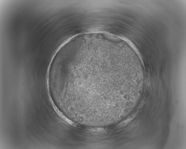 X0000067850957200605041712