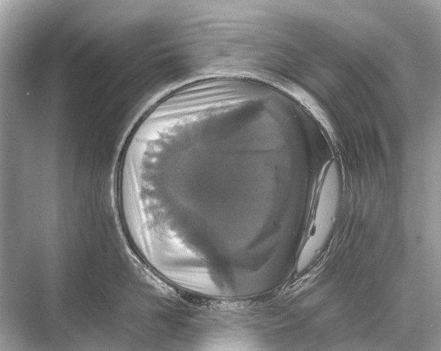 X0000067850958200605041712