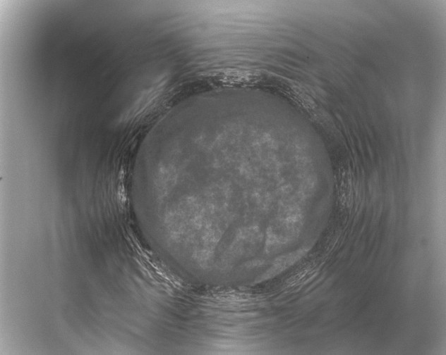 X0000067850962200605041711