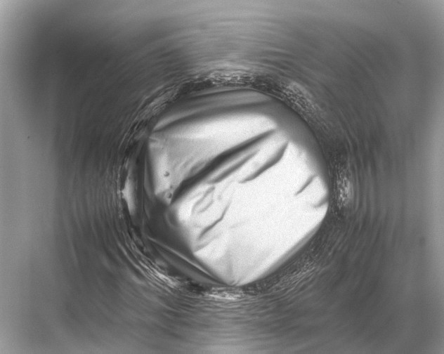 X0000067850964200605041711