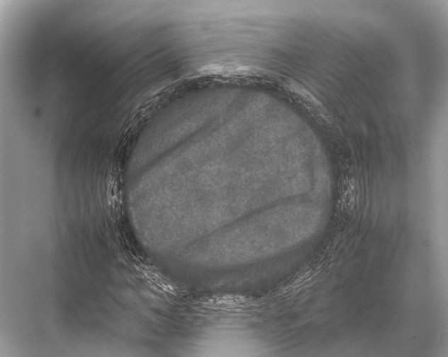 X0000067850966200605041711