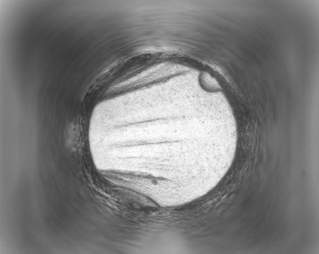 X0000067850967200605041711