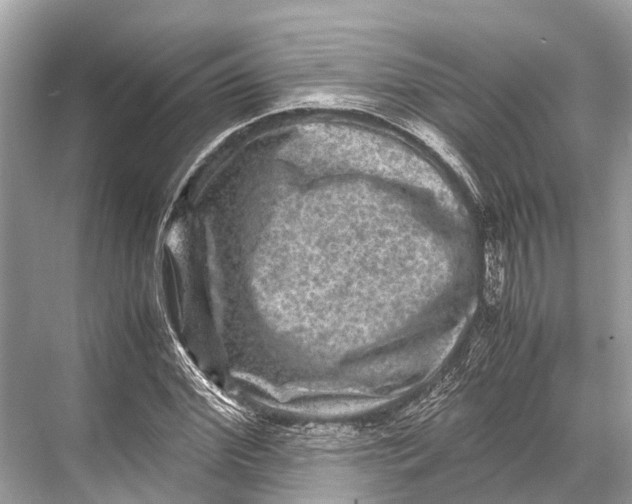 X0000067850972200605041711