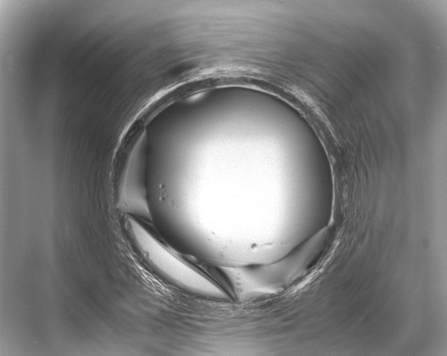 X0000067850973200605041711