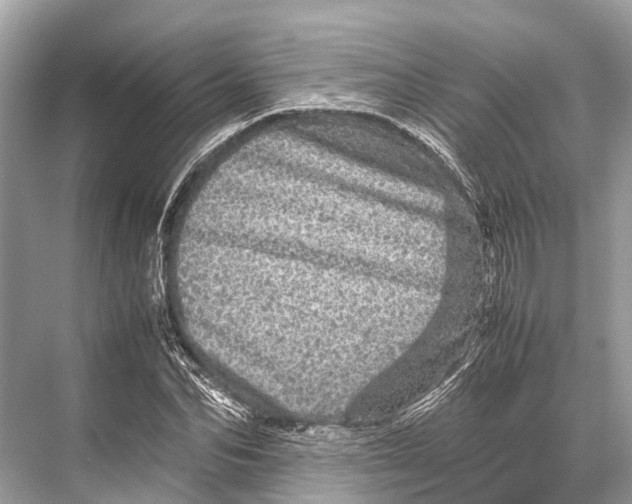 X0000067850974200605041711