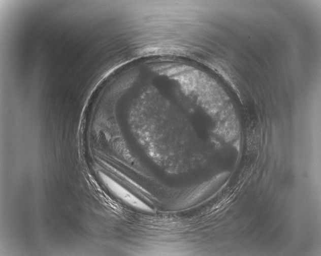 X0000067850975200605041711