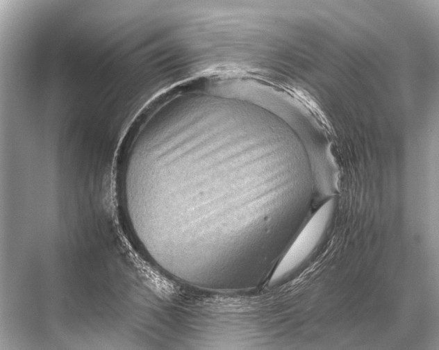 X0000067850976200605041711