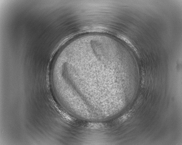 X0000067850978200605041711