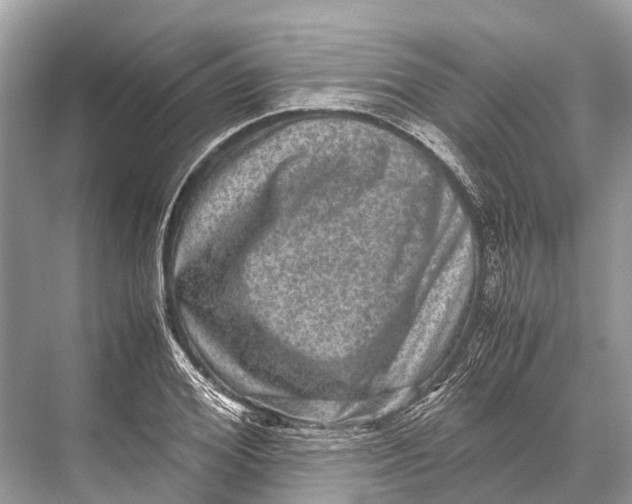 X0000067850980200605041711