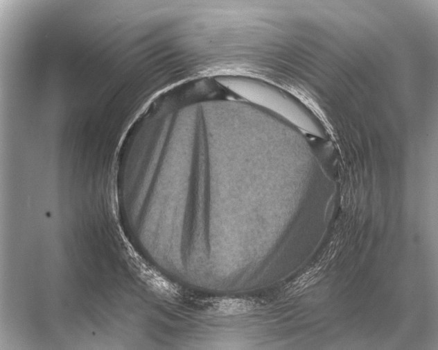 X0000067850984200605041711