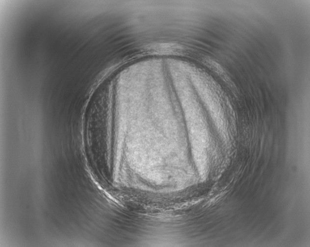 X0000067850986200605041711